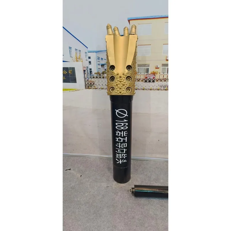 Пилотная буровая головка (23)